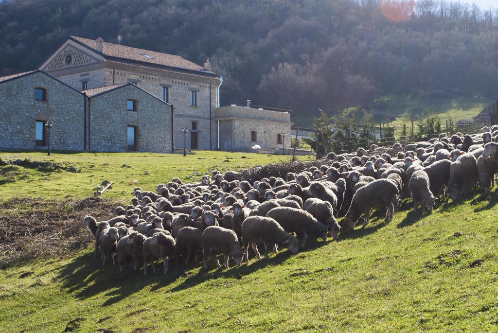 Masseria Salecchia Bovino Exterior photo